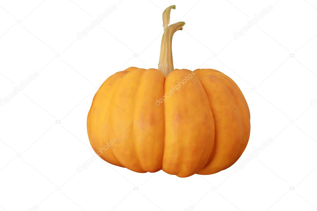 Orange pumpkin isolated on  isolated on a white background.with 