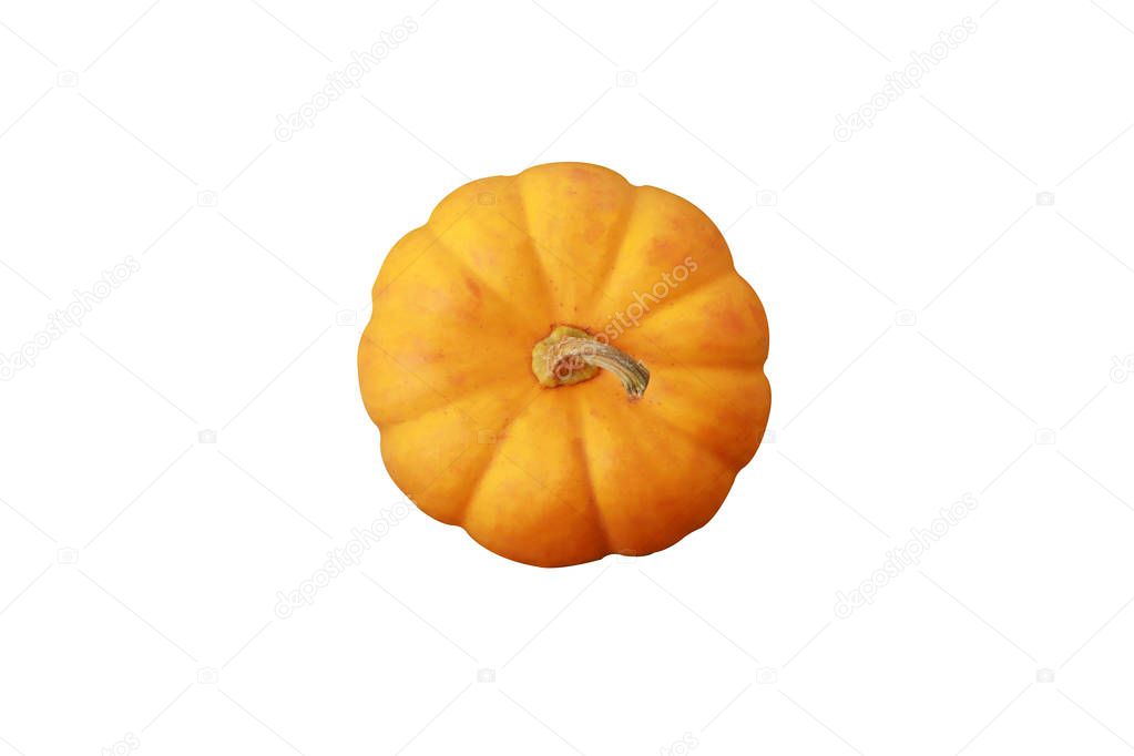 Orange pumpkin isolated on  isolated on a white background.with 