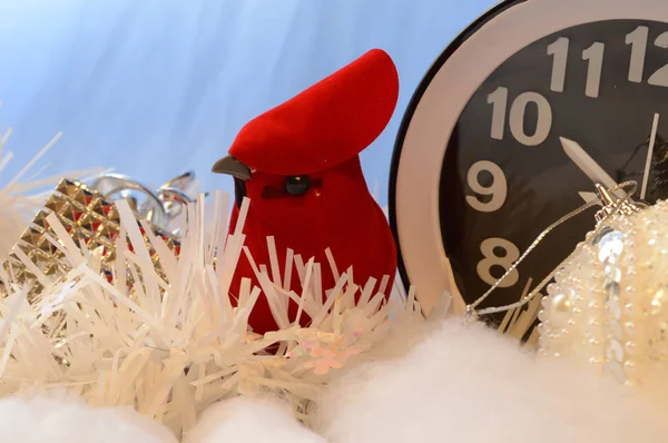 Kardinal Representerar Säsongsmässiga Förändringar Som Inträffar Vintermånaderna — Stockfoto