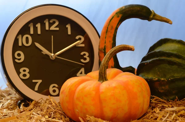 Őszi Dekorációs Táj Szemléltetésére Halloween Hálaadás Vagy Csak Őszi Minták — Stock Fotó