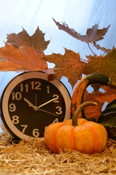 Podzimní Dekorační Scenérie Ukazují Halloween Díkůvzdání Nebo Jen Padat Návrhy — Stock fotografie