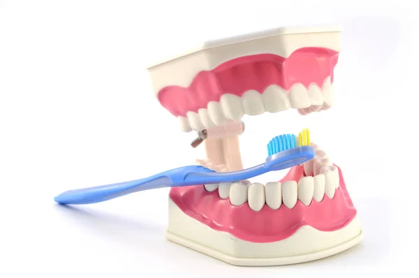 Vista Cerca Conjunto Saludable Dientes Cepillo Dientes Para Conceptos Odontología —  Fotos de Stock