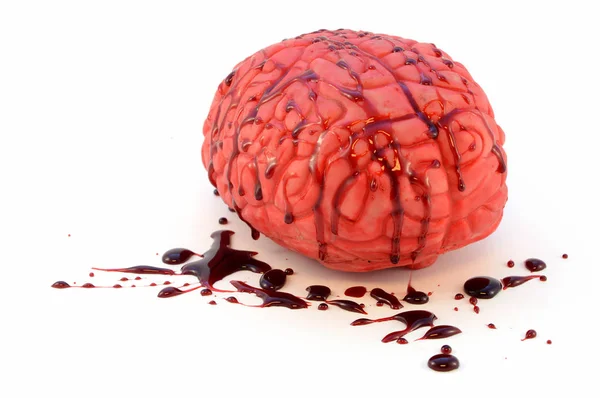 Cérebro Humano Isolado Com Sangue Falso Para Uso Como Item — Fotografia de Stock
