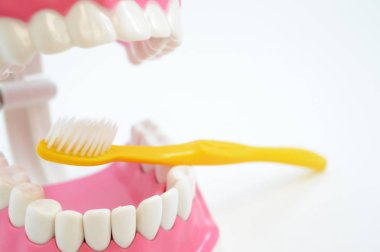 Sağlıklı Gülümsüyor Ekran