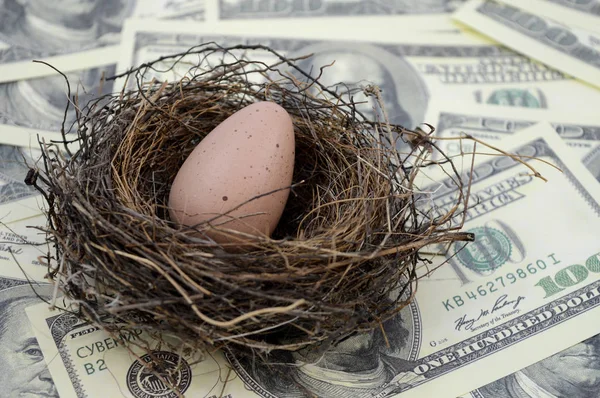 Wealthy Nest Egg — Stock Photo, Image