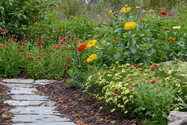 Fjärilsträdgård av blommor — Stockfoto