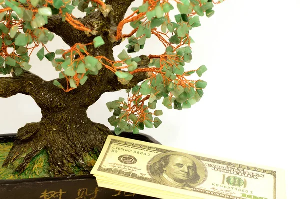 The Money Tree — Stock Photo, Image