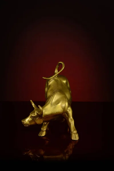 Closeup View Strong Brass Bull Dark Gradient Showcase Strength Endurance — Stock Photo, Image