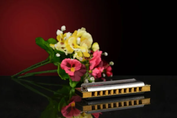 꽃다발을 하모니카를 — 스톡 사진