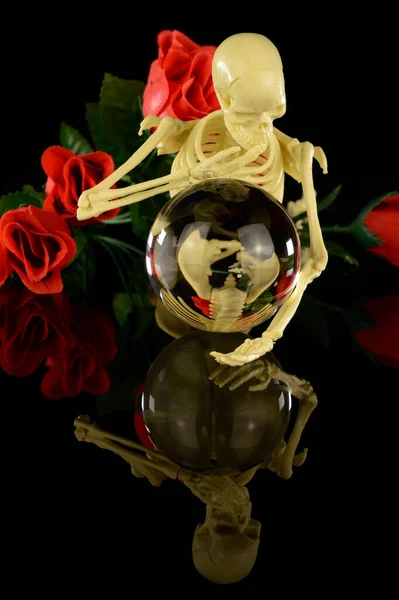 Skeleton Reflects Crystal Ball See Life Little More Clearly — Stock Photo, Image