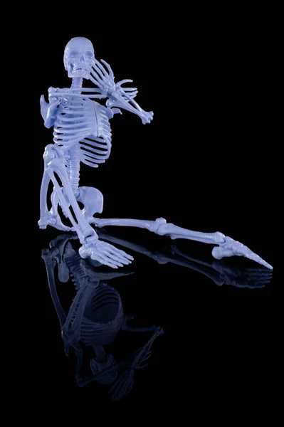 Isolated Black Reflective Background Image Whole Human Skeleton Body Blue — Stock Photo, Image