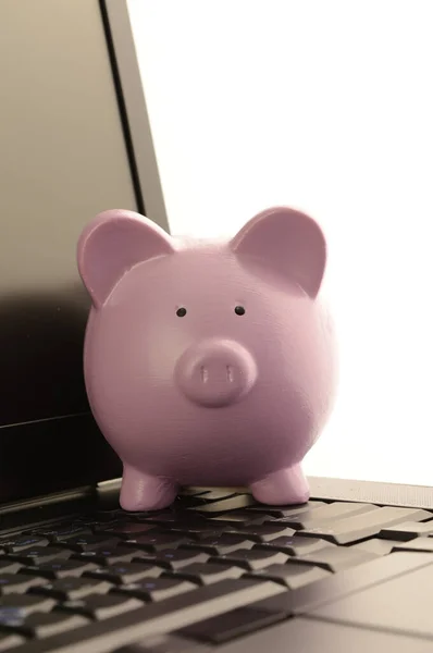 Piggy Bank Laptop Online Financial Services — Stock Photo, Image