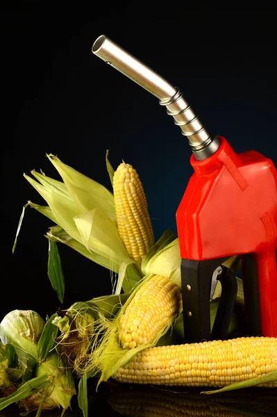 Corn Based Fuel Concept Gas Pump Gradient Background — Stock Photo, Image