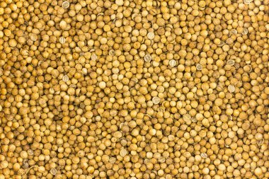 birçok bezelye arka plan baz yüzey tasarım yemek kuru kişniş tohumu