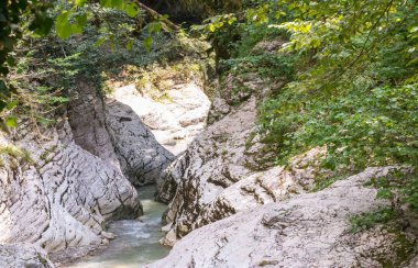 bir dağ nehir büyük gri taşları arasında hızlı görünümünü orman güneşli gün ile kapalı
