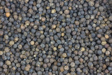 siyah birçok peppercon arka plan baharat mutfak tabanı kuru biber
