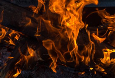 bir koyu arka plan temel tasarım tatil aile ocağın üzerinde turuncu sıcak alev uzun dilleri