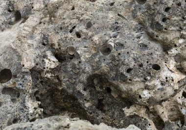 düzensiz yıpranmış taş gri kraterler delik kesme su deniz arka plan Jeoloji ile