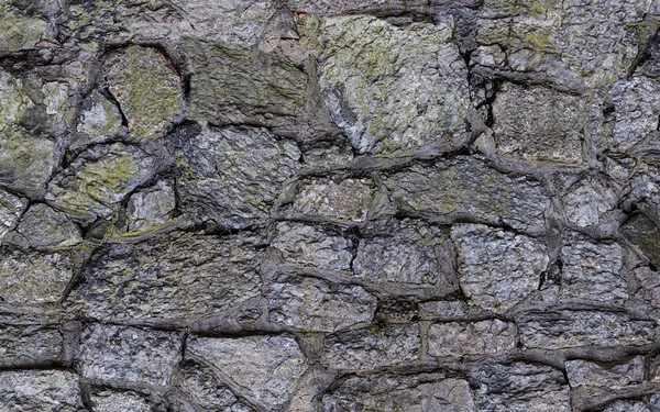 Vecchio Muro Grigio Giardino Intemperie Ricoperto Rocce Muschio Modello Asimmetrico — Foto Stock