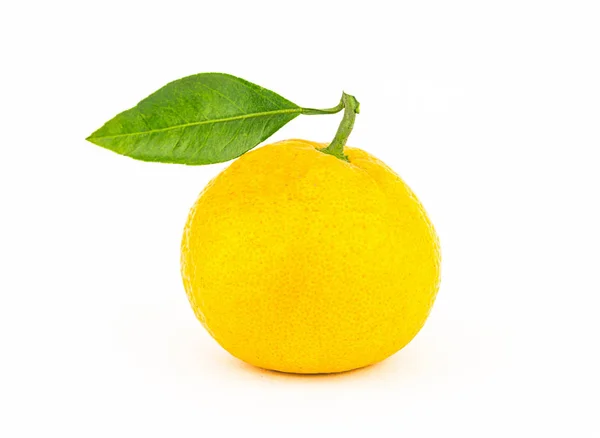 Šťavnaté Zralé Mandarine Kulaté Ovoce Zelené Listí Bílém Pozadí — Stock fotografie