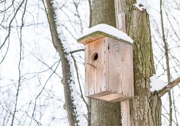 Casa Pájaros Madera Resistido Cubierto Nieve Colgando Tronco Árbol Contra —  Fotos de Stock