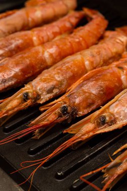 satır ham taze tek parça ıstakoz ızgara deniz ürünleri incelik için akşam yemeği vurgu kafasına bir dizi için hazırlanan ve