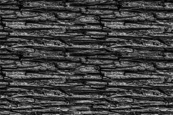 带肋木基水平图案树皮的老树黑色灰色背景设计自然单色图案 — 图库照片