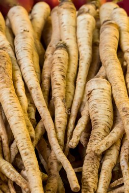 kökleri dikey maydanoz uzun meyve tabanı ve püresi salatası Bileme baharat yakın çekim bir sürü ayarla