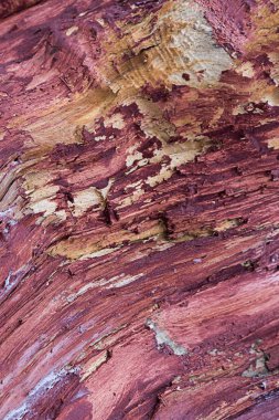 pişmiş toprak boya arka plan rustik temel doğal ahşap desen tasarım ile kaplı dikey taban ağaç gövdesi