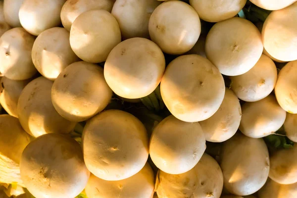 Turp Beyaz Sebze Desen Yığın Salatası Turşu Aperatifler Çiftçi Arka — Stok fotoğraf