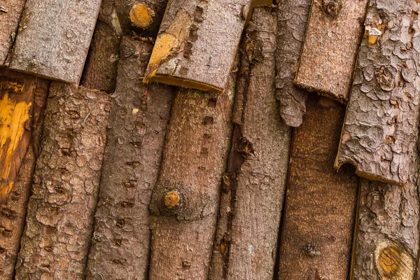 Set Tree Bark Brown Weathered Surface Design Eco Rustic Base — Stock Photo, Image