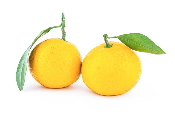 Pair Bright Tangerine Fruits Green Leaves White Background Background Juice — Stock Photo, Image
