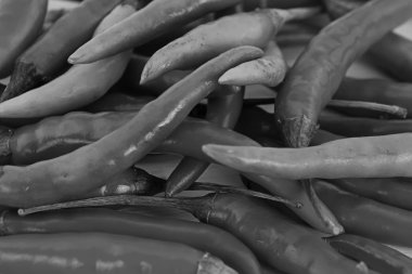 tek renkli sebze arka plan sepya efekti birçok tüm meyve temel substrat web tasarım gri