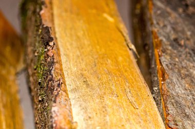 ezilmiş günlük pürüzsüz yüzey doğal yumuşak malzeme yakıt rustik arka plan odak tuvalin ortasına