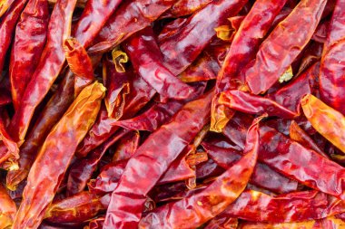kurutulmuş biber biber Bordo arka plan temel tasarım baharat sebze temel pod