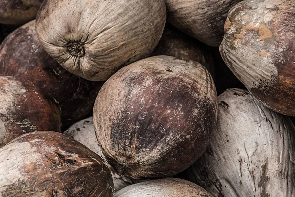 kahverengi palmiye meyvelerini fındık bir dizi tenli doğal arka plan baz tropikal bir demet.