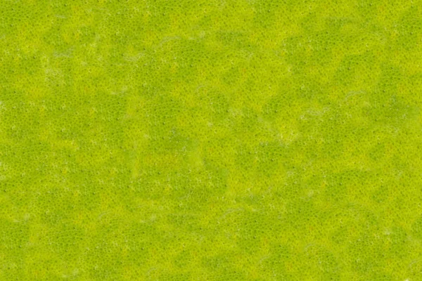 Fundal Abstract Verde Îmbuteliat Fundație Luminoasă Fructe Citrice Piele Bază — Fotografie, imagine de stoc