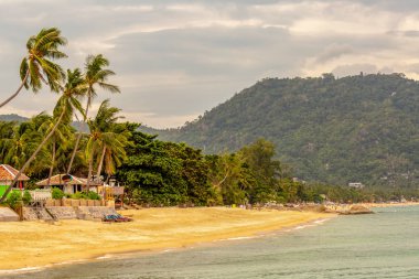 plaj cenneti tatil tropikal kıyı llamai samui tayland sarı kum palmiye ağaçları okyanus kıyısında bungalovlar