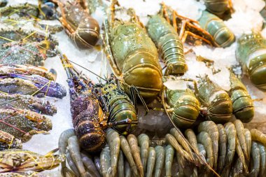 asya pazar tepsi deniz incelik egzotik yemekler ayarlamak ıstakoz karides kerevit taze buz döktü