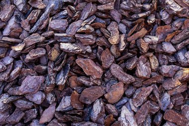 temel rustik ahşap yongaları şömine doğal kahverengi zemin dekorasyon park çam ateş kabuk
