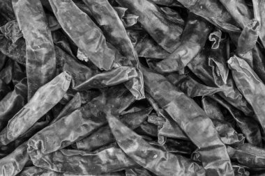 baz biber biber tonda desen birçok bakla temel menü tasarım arka plan sebze kurutulmuş