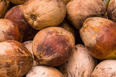 kahverengi kahverengi Hindistan cevizi meyve yığını fındık kadar yakın çekim temel tropikal tasarım soyulmuş