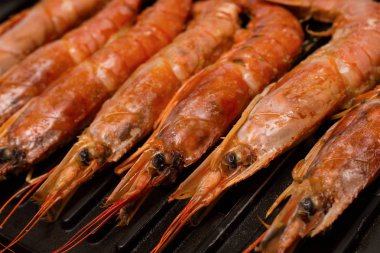 satır tüm bilinenlerin taze lezzetli makro odak kafasında tarak ızgara set temel menü arka plan