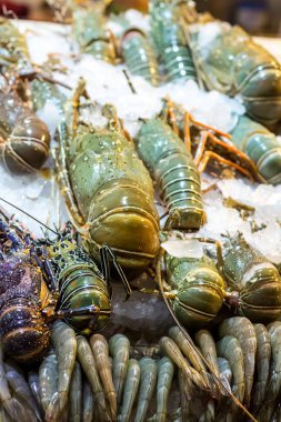 deniz mahsülleri buz büyük ıstakoz Royal'a yakın çekim Asya pazarı Caddesi pek çok deniz ürünleri lezzetleri Tayland vietnam prawns.