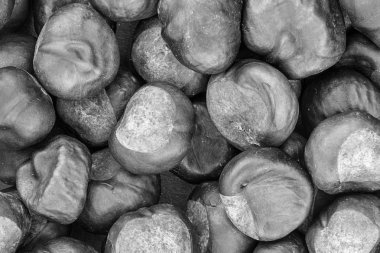 set büyük kestane temel tasarım web sitesi arka plan mutfak desen birçok meyve tek renkli gri tonlu