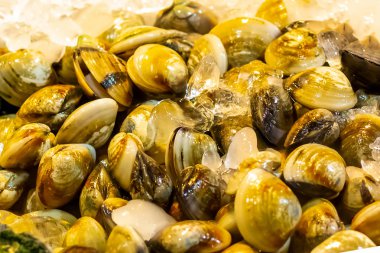 Tay istiridye emay Venüs kabuk (Meretrix lyrata) çok taze deniz kabuklarını lezzetli deniz incelik arka tepsi balıkçı bir Asya malazia filipina Endonezya pazarı