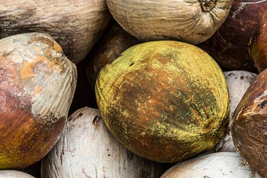 dizi yığın Hindistan cevizi kahverengi doğal desen yakın çekim palm fındık tropikal meyve arka plan