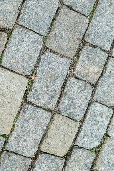 Rua Azulejos Pedras Passarela Jardim Cinza Bloco Padrão Oblíquo Resistiu — Fotografia de Stock