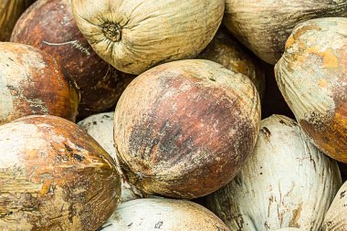 arka plan hindistan cevizi kahverengi eski hava dövülmüş tek parça meyve clos