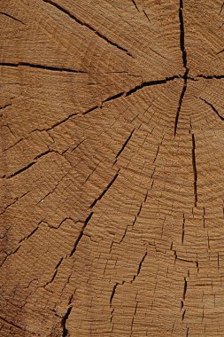Ahşap dokusu bej çizgileri çatlatmış eski yüzey doğal yüzey tasarımı rustik